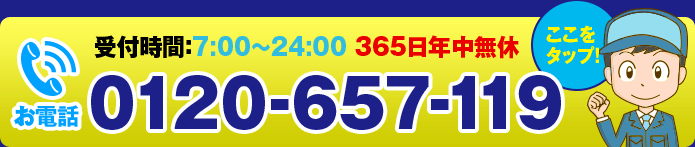 0120-658-119