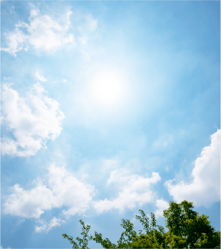 強い日差しの差し込む青空