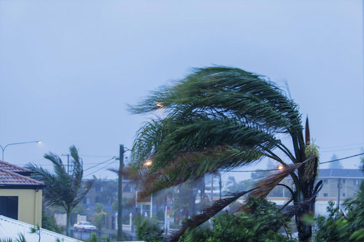 台風・雷などの自然災害