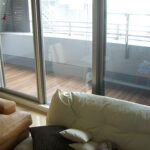 【玉名市高瀬】防音ガラス修理の画像イメージ